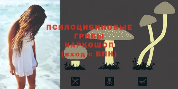 первитин Армянск
