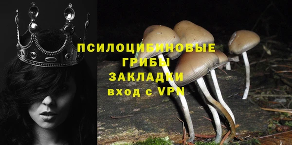 бутират Менделеевск
