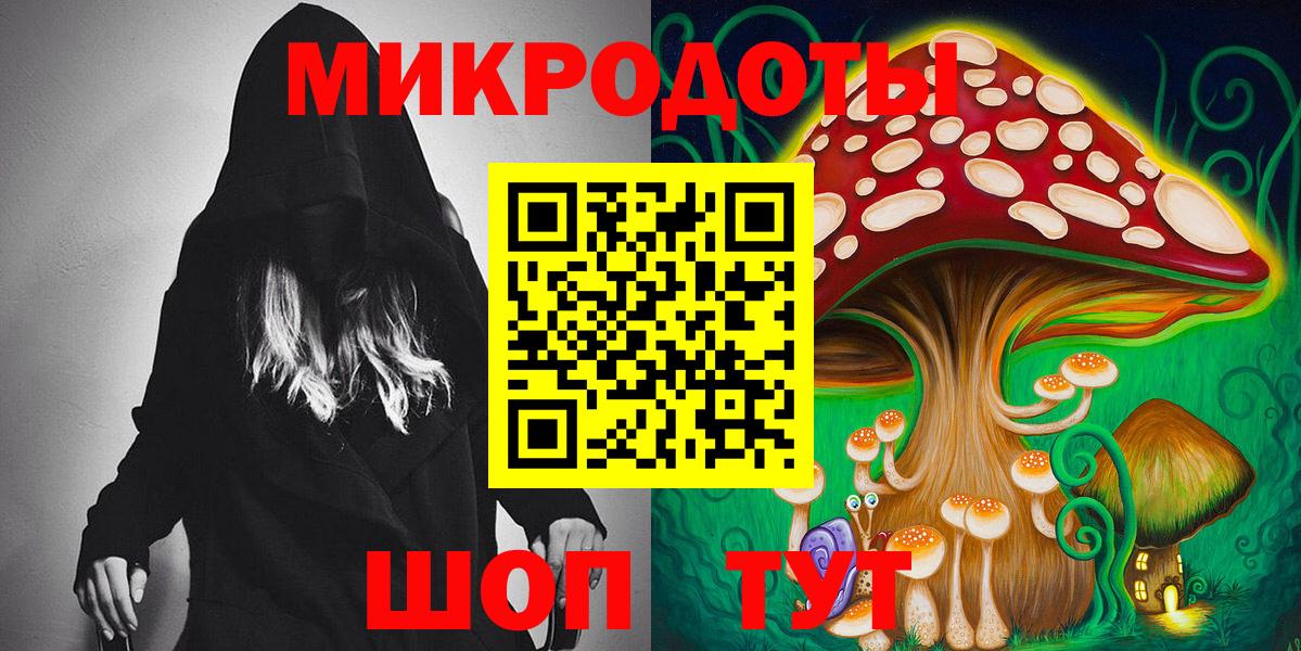 Псилоцибиновые грибы Cubensis  Вход с VPN  Полысаево 